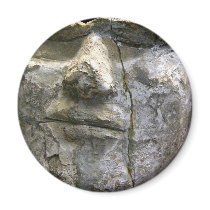 Death Mask magnets