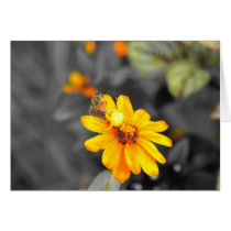 Death Of  A Bee cards