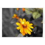 Death Of  A Bee Greeting Cards