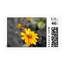 Death Of  A Bee postage