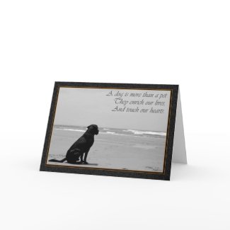 Death of a pet, dog death, sad, dog looking out card