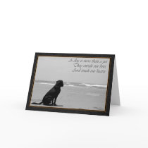 Death of a pet, dog death, sad, dog looking out cards by moonlake Death of a pet, dog death, sad, dog looking out cards
