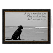 Death of a pet, dog death, sad, dog looking out card