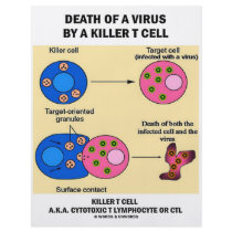 Death Of A Virus By A Killer T Cell (Immunology) flyers by wordsunwords Death Of A Virus By A Killer T Cell (Immunology) flyers
