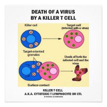 Death Of A Virus By A Killer T Cell (Immunology) Invites