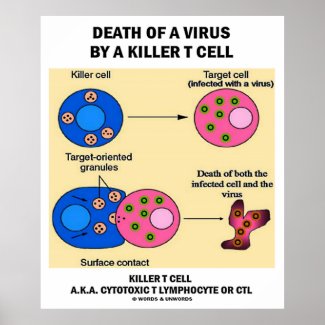 Death Of A Virus By A Killer T Cell (Immunology) Print