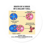 Death Of A Virus By A Killer T Cell (Immunology) stickers