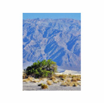 Death Valley Deserts Mountains photo sculptures
