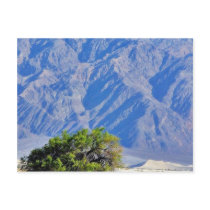Death Valley Deserts Mountains postcards