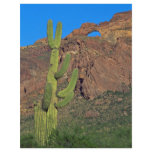 Death Valley flyers