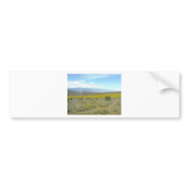 Death Valley in Bloom Bumper Stickers