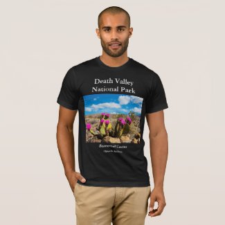 Death Valley National Park Men&#39;s T-Shirt