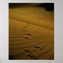 Death Valley Poster print
