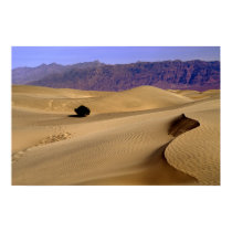 Death Valley sand dune posters
