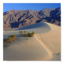 death-valley-sand-dunes posters by undefined death-valley-sand-dunes posters
