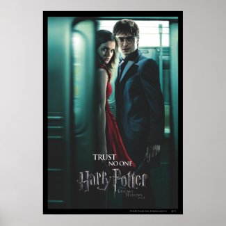 Deathly Hallows - Harry and Hermione print