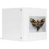 Death's Head Hawkmoth Acherontia Lachesis Vinyl Binders