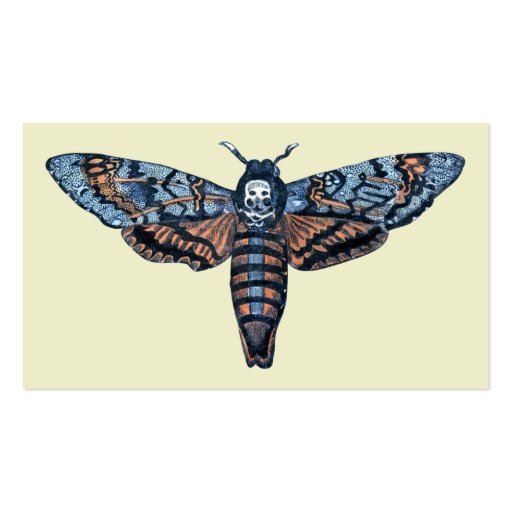 Death's Head Moth, aka Sphinx atropo moth Business Card Template (front side)
