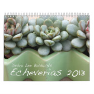 Debra Lee Baldwin's Echeverias 2013 Calendar