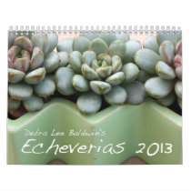 Debra Lee Baldwin's Echeverias 2013 Calendar calendars