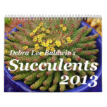 Debra Lee Baldwin's Succulents 2013 Calendar