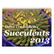 Debra Lee Baldwin's Succulents 2013 Calendar calendars