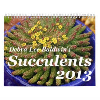 Debra Lee Baldwin's Succulents 2013 Calendar