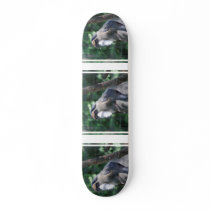 DeBrazza Monkey Skateboard