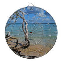 Debris to Blind Pass Dartboard