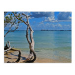 Debris to Blind Pass Post Cards