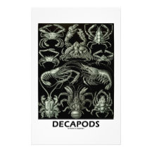 Decapods Personalized Stationery