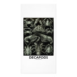 Decapods Customized Photo Card