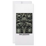 Decapods rack cards