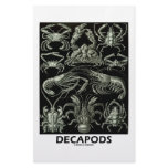 Decapods Personalized Stationery
