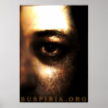 Decay Posters
