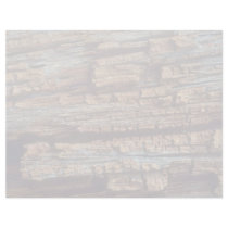 Decaying wood, Lake St. Peter, Ontario, Canada Letterhead Design
