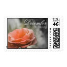 postcard - Autumn orange rose postage is perfect for any wedding occasion! Be sure to check out our other wedding postage stamps available! 



                 Each Wedding Month has the same selection of postage. If you would like something custom made or if you want any postage changed in some way, let me know! 