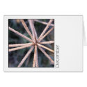 December cards