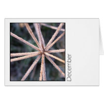 December cards