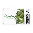 postcard - Green onion going to seed postage is perfect for any wedding occasion! Be sure to check out our other wedding postage stamps available! 


                 Each Wedding Month has the same selection of postage. If you would like something custom made or if you want any postage changed in some way, let me know! 