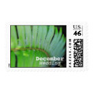 postcard - Green fern month postage is perfect for any wedding occasion! Be sure to check out our other wedding postage stamps available! 
                 Each Wedding Month has the same selection of postage. If you would like something custom made or if you want any postage changed in some way, let me know! 
