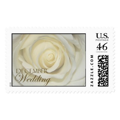 December simply cream wedding rose postage stamps