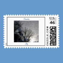 December Sky postage