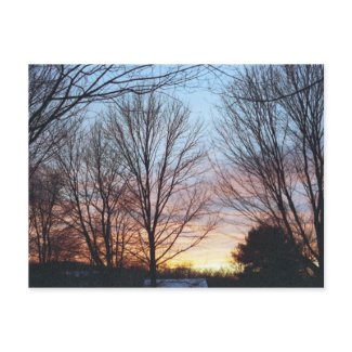 December Sky Postcard postcard