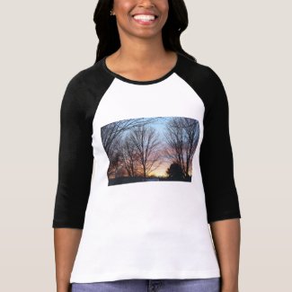 December Sky Women's T-Shirt shirt
