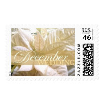 December Wedding Poinsettia Postage Stamp I