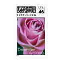 December Wedding Postage postage by WeddingPalette December Wedding Postage postage