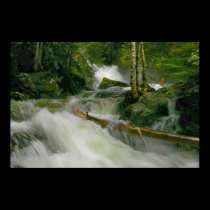 Deception Falls posters
