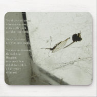 Deception mousepad