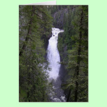 deceptionfalls cards